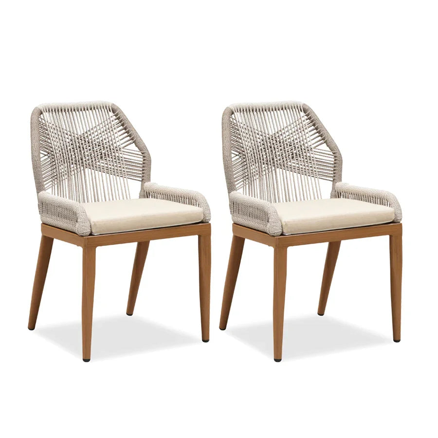 PURPLE LEAF 2 Pieces Sunbrella Patio Dining Chairs with All-Weather ...