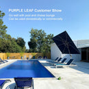 [ Umbrella with Base Set ]PURPLE LEAF Porch Umbrellas, Outdoor Patio Umbrella with Base