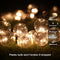 PURPLE LEAF Patio Gazebo for Backyard Grey Hardtop Galvanized Steel Roof Awning with String Lights-clear