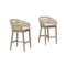 PURPLR LEAF Bar Stools Chair Set of 2, Rattan and Aluminum Frame with Comfortable Cushion