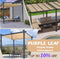 PURPLE LEAF Outdoor Retractable Pergola Patio Shelter for Garden Porch Beach Pavilion Grill Gazebo