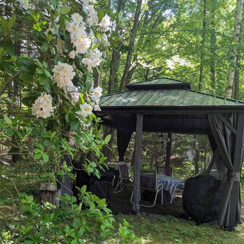 PURPLE LEAF Grey Hardtop Gazebo with Heavy Duty Galvanized Steel Double Roof with Netting and Curtains