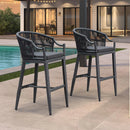PURPLE LEAF Patio Bar Stools Set of 2 Outdoor Wicker Modern High Bar Chairs Metal Cushioned Barstools with Backs and Ergonomic Armrest