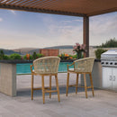 PURPLE LEAF Patio Bar Stools Set of 2 Outdoor Wicker Modern High Bar Chairs Metal Cushioned Barstools with Backs and Ergonomic Armrest
